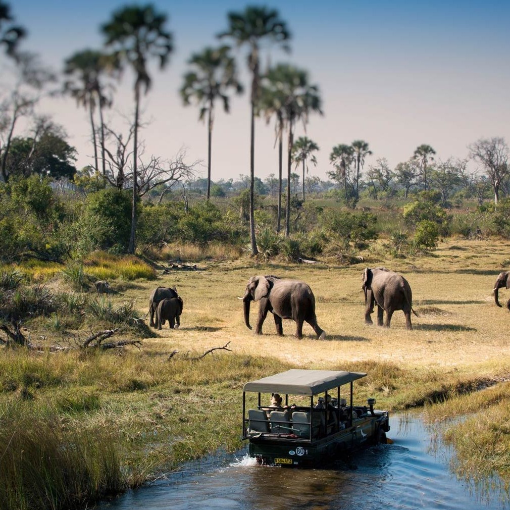 	Chobe District	